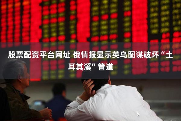 股票配资平台网址 俄情报显示英乌图谋破坏“土耳其溪”管道